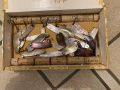 Thoma Speer 555 Barca da pesca