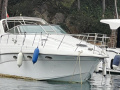 Crownline CR 330 Yate a motor