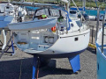 Wrighton BI LOUP 36 Yacht hauturier