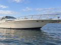 Sea Ray sundancer 480 Motorna jahta