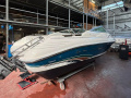 Sea Ray 200 OV Sportpaat