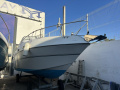 Four Winns 258 VISTA Sportboot