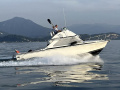 Bertram 28 Fly Flybridge