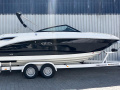 Sea Ray SDX250E & Trailer  (1. Hand) Bowrider