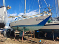 Contest 36 Segelyacht
