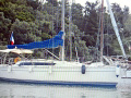 Jeanneau Sunshine 38 Segelyacht