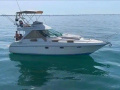 Beneteau Flyer F1 Motoryacht