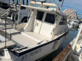 Navimotors Teaser 31 Motoryacht