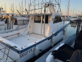 Navimotors Teaser 31 Motoryacht