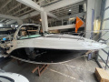Sea Ray 265 Sundancer Sportboot