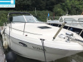 Sea Ray Amberjack 315 Sportboot
