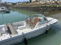 Chris Craft Sea Hawk Bateau à console