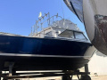 Bertram 28 Fly Flybridge