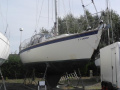 Westerly Falcon 35 Segelyacht