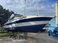 Carver Yachts 30 Allegra Motoryat