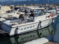 Bayliner Trophy 2352 Pilotina
