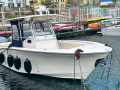 Grady White Boats GRADY WHITE 306 CC Motoryat