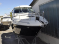 Sea Ray 255 Sundancer Hardtop