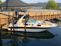 Sea Ray 310 SUNDANCER Sportski brod