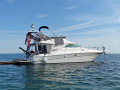 Sea Ray 400 Sedan Bridge Motorna jahta
