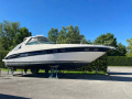 Sea Ray 460 Sundancer T-top Motor yacht