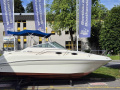 Sea Ray 240 Sundancer Lancha