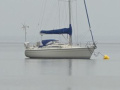 Dehler 36 CWS Segelyacht