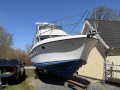 Fairline Targa 31&ndash; 1994 &ndash; 2 x Volvo Penta TAMD41 Kabinebåd