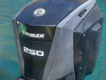 EVINRUDE E-TEC G2 250 CV &ndash; GAMBO XXL Vanbrodski motor