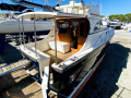 Cantieri Estensi Goldstar 360 Flybridge