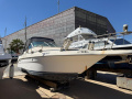 270 Sundancer Motor yacht