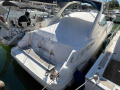 Sea Ray 335 DA Motoryacht