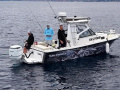Bayliner 2509 Sport boat