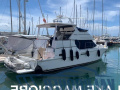 Carver Boat 400 Flybridge