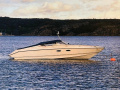 Maxi 880 DC Sport boat