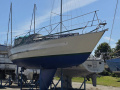 Leonid-Teliga Cetus 44 Klassische Segelyacht