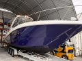 Sea Ray 310 Motoryat