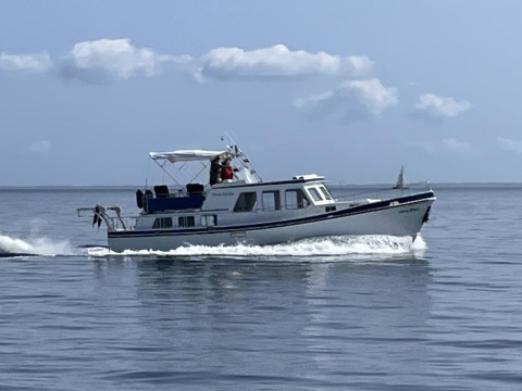 Riverhopper