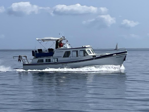 Riverhopper 38 fod
