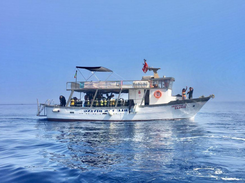 Barca diving, giro isola, trasporto