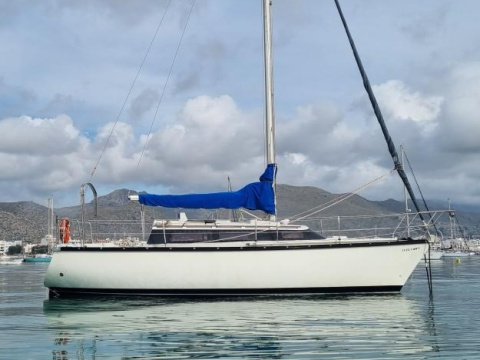 Dufour 29