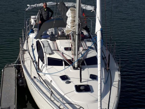 2015 Delphia 40.3, EUR 179.000,-