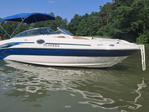 Sea Ray Sundeck 240