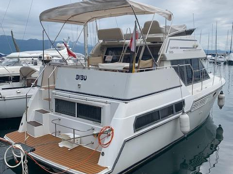 Carver 325