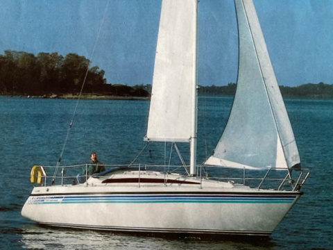 Sunwind 312