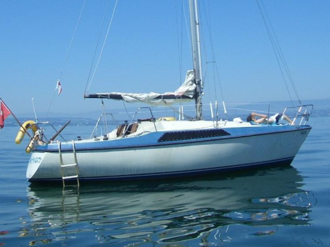 Pelle Peterson Maxi 87