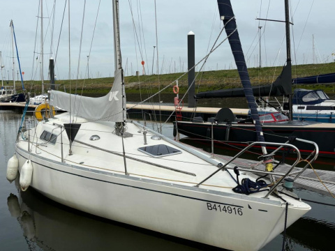 Albin Marine Scampi 30