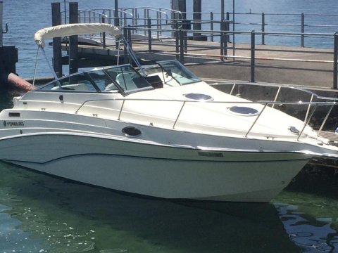 Celebrity 265 Sport Cruiser