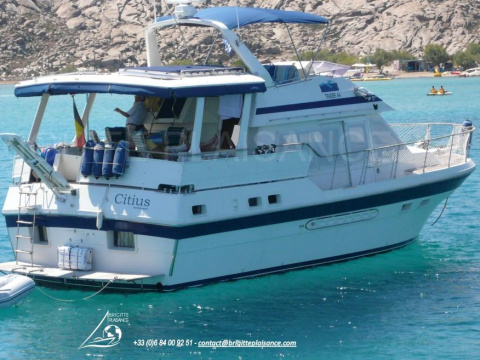Tarquin TRADER 44