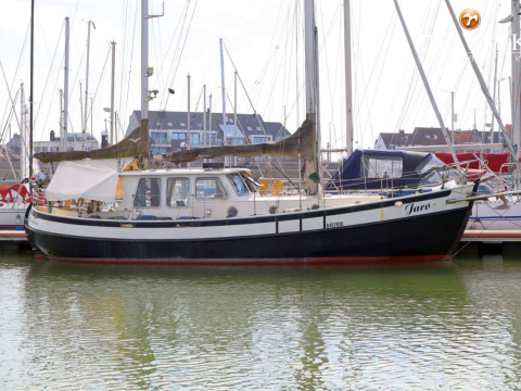 Danish Rose 35